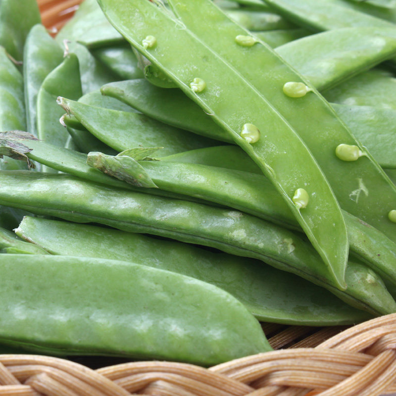 荷兰豆200g新鲜豆角色泽鲜亮新鲜豆类