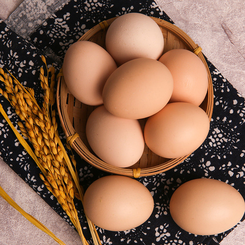 仁达鸡蛋15枚鸡蛋