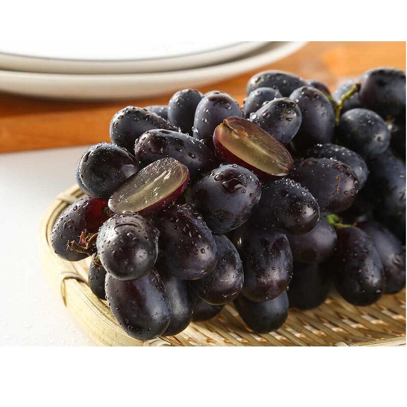 新疆黑加仑500g葡萄果肉紧实清新水润水润美美味葡萄