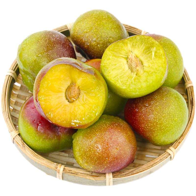 四川青红脆李500g李子