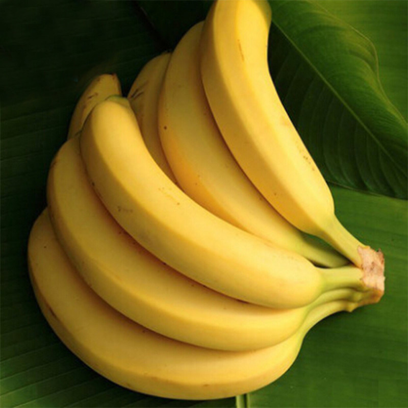 进口香蕉500600g果肉香甜软糯精选优质新鲜当季香蕉