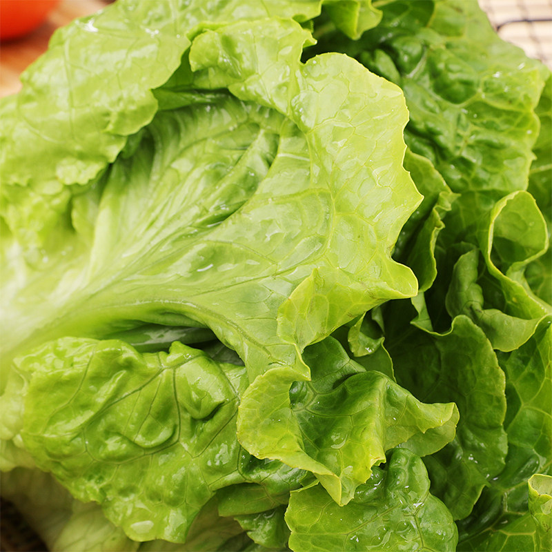 8元10折距离结束:1天23时59分30秒高山生菜3000人收藏天猫超市扫码有