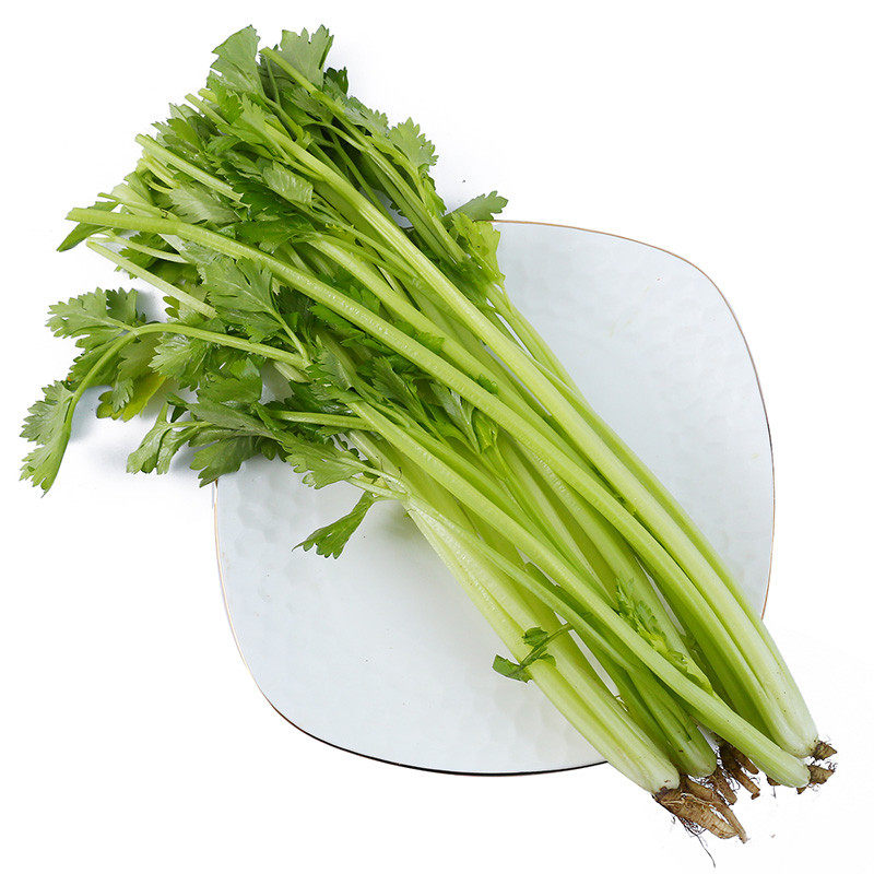 新鲜日日香芹230g芹菜食用混合水润叶菜类