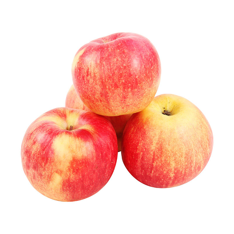 山东乔纳苹果2粒500g苹果