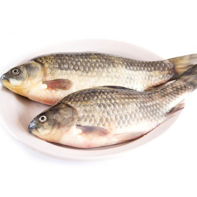 白鲫鱼300g以上/条