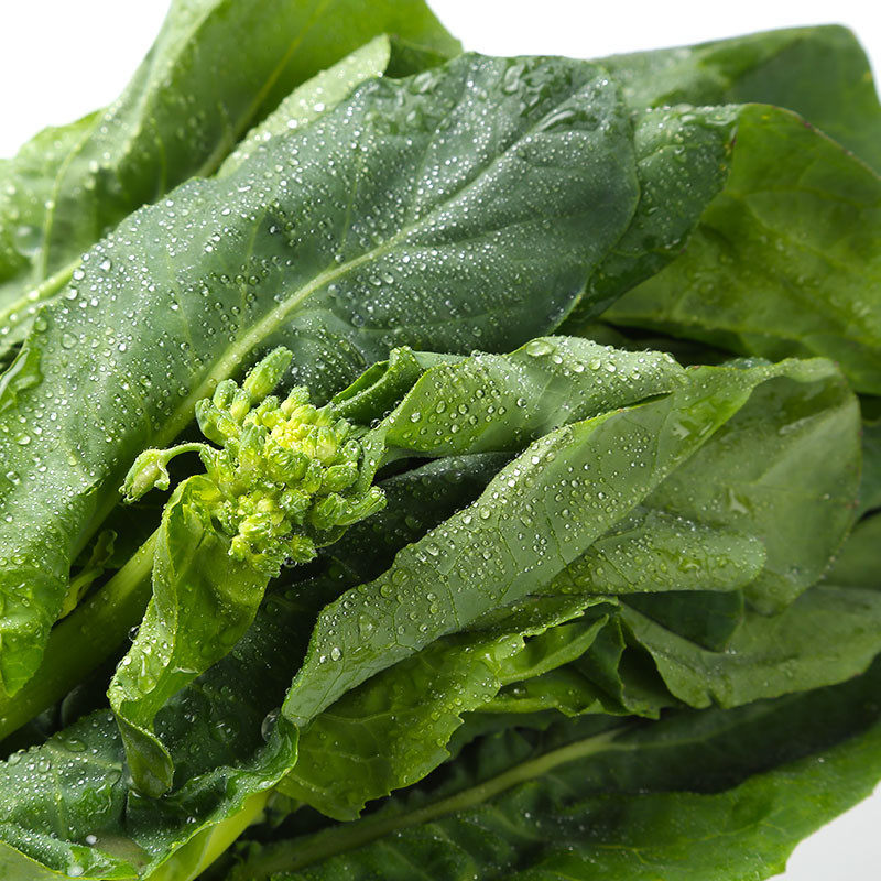 精选芥兰300g叶菜类
