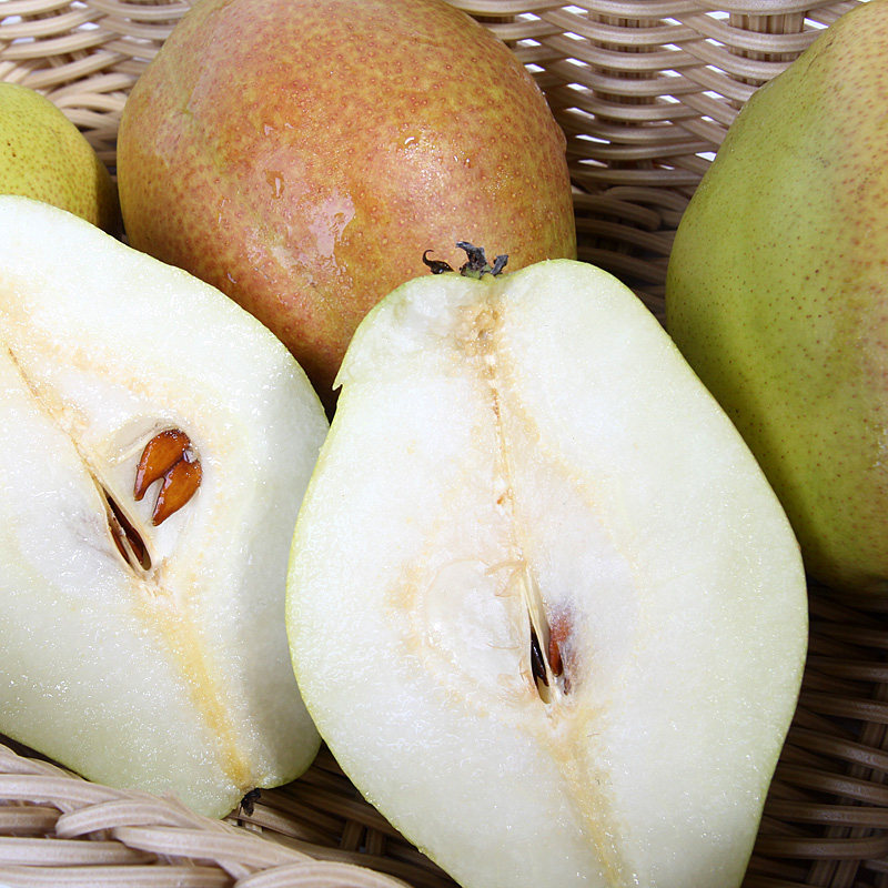 清甜陕西香梨4个500g果肉美味当季精选成熟梨
