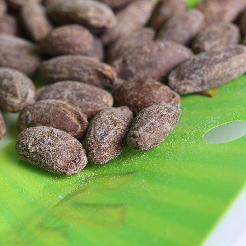 阿里山瓜子108克零食炒货休闲小吃食品瓜子