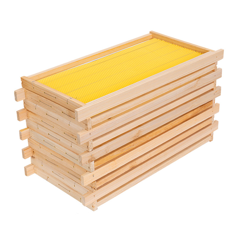 带框巢础成品巢框蜜蜂巢框架中意蜂杉木巢脾蜂箱专用养蜂工具全套