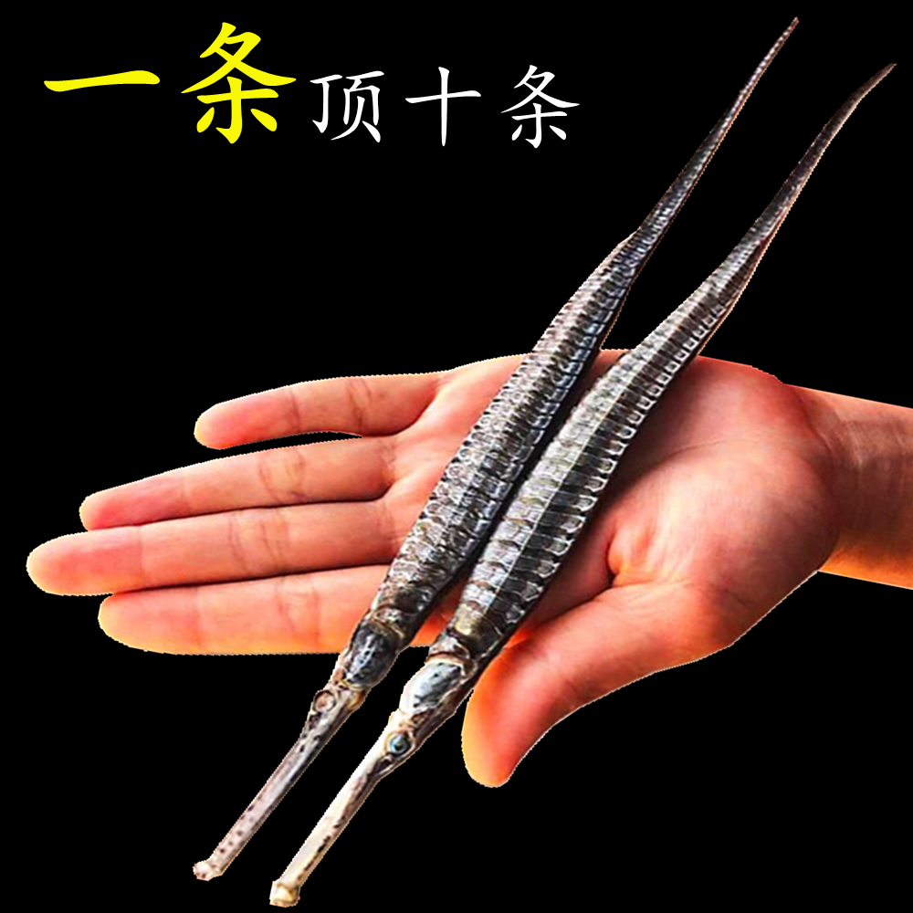 大海龙干货一对12克宜搭中药材煲汤泡酒料男性滋补品6角龙干包邮