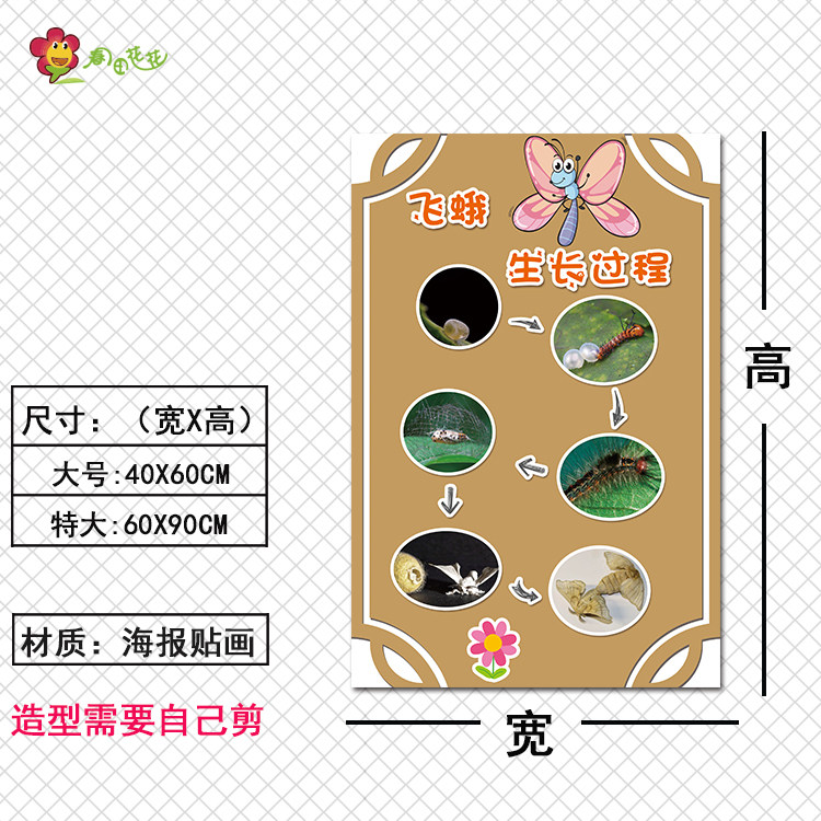 幼儿园科学探区活动昆虫生长过程主题蝴蝶生命墙贴