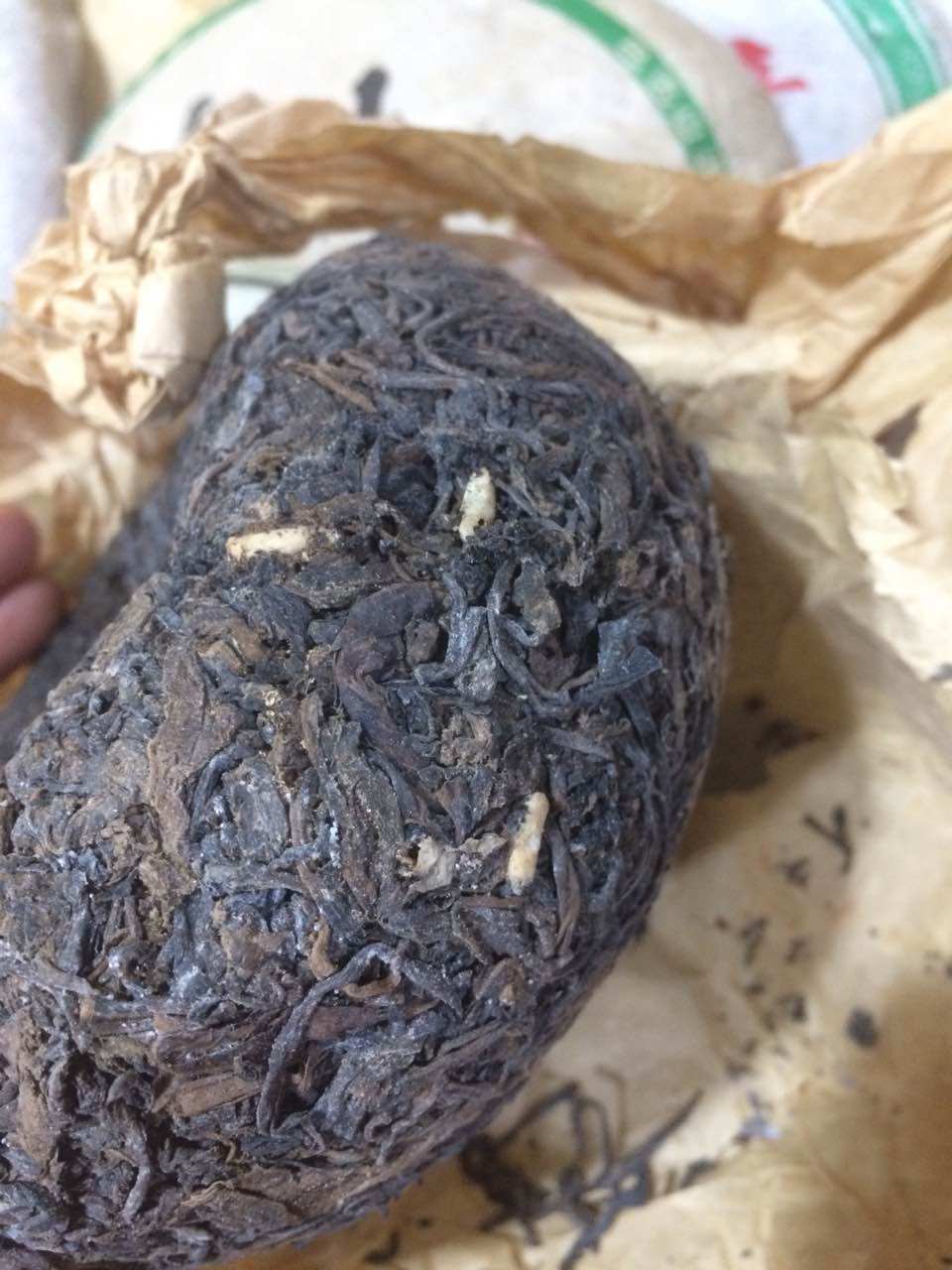 云南80年代南普洱金瓜沱紧沱珍藏老生虫屎沱茶普洱