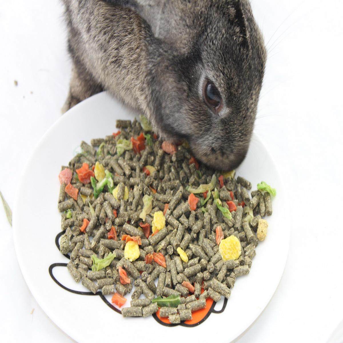 宠物1斤果蔬营养兔粮幼兔垂耳兔豚鼠饲料5斤兔兔主粮