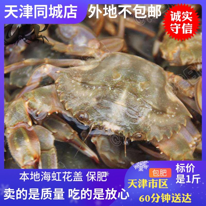 天津海虹花盖海蟹鲜活精品螃蟹大红爪赤甲公青蟹