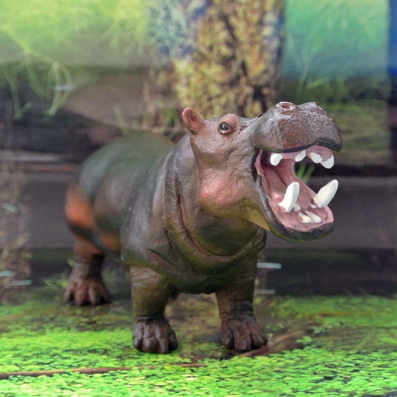 欧美safari正品野生动物教学模型张嘴河马229029玩具仿真