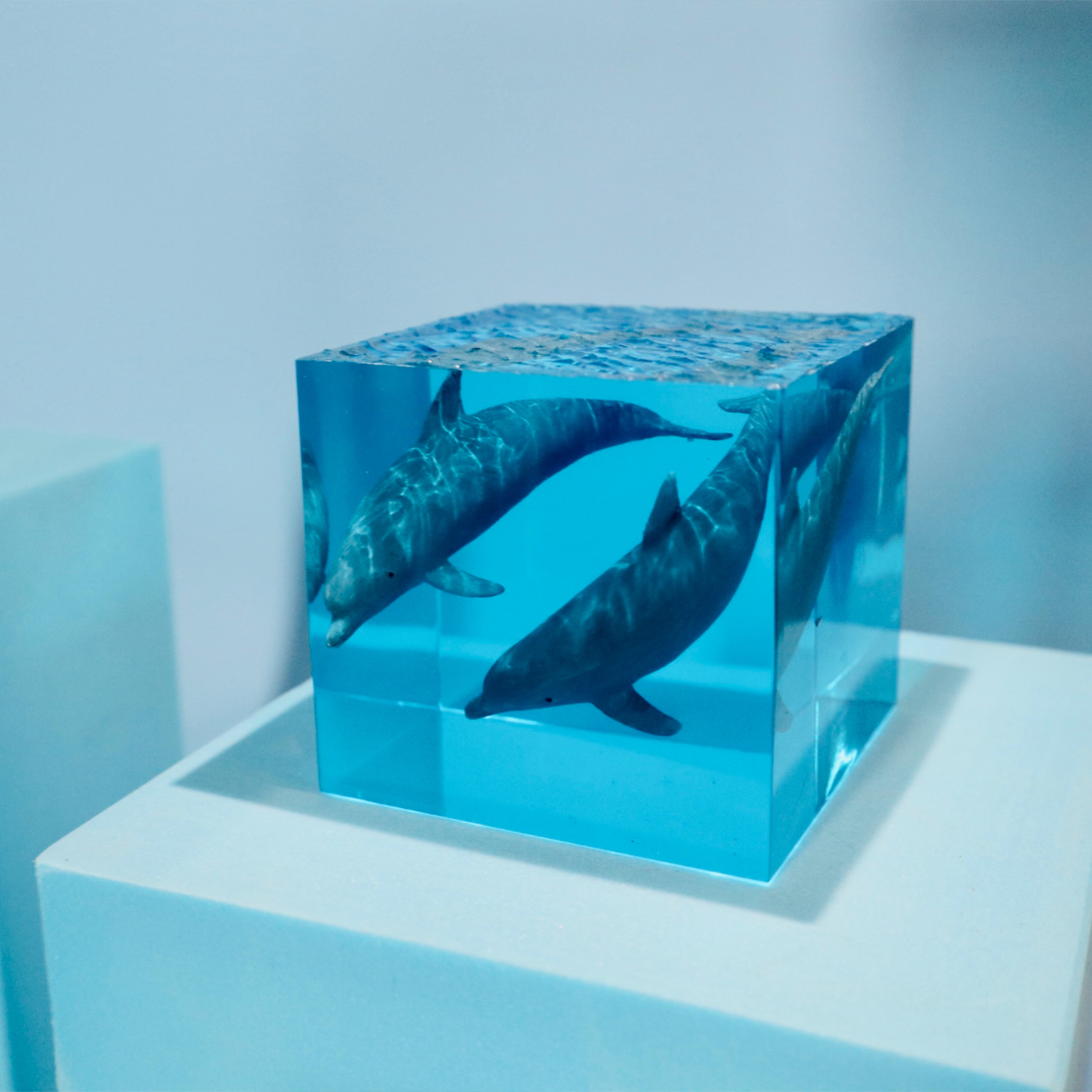 万物工坊海立方海豚树脂海洋鲸鱼摆件镇礼品滴胶其他特色工艺品