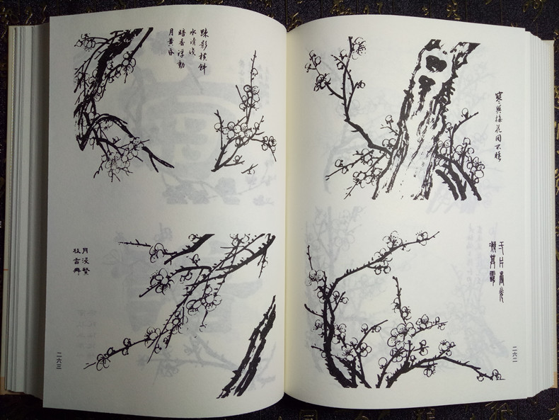 正版 芥子园画谱中国传世山水画写意花鸟画人物画名画工笔画国画书