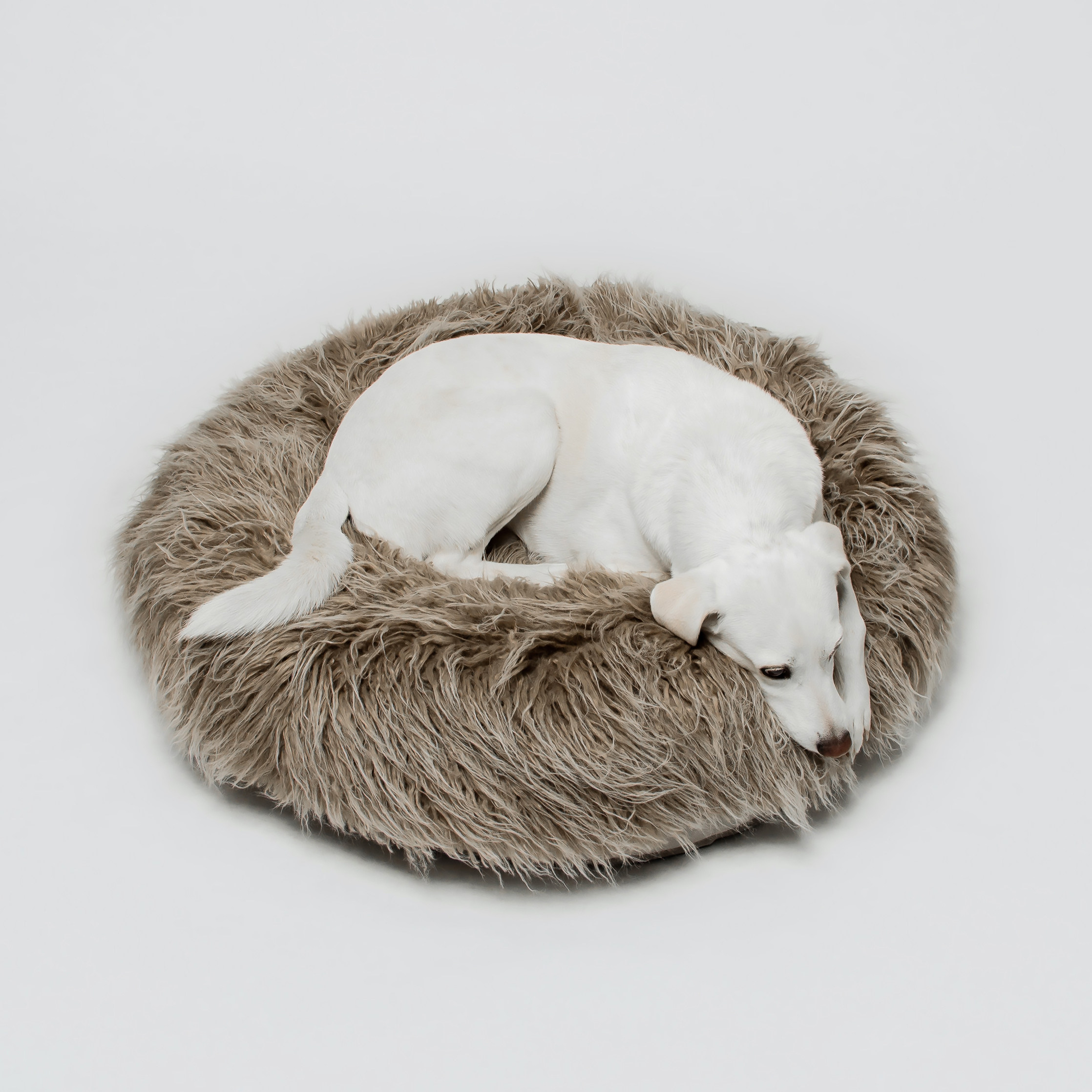 雪怪冬日宠物床垫德国进口cloud7乳胶可拆卸圆形床