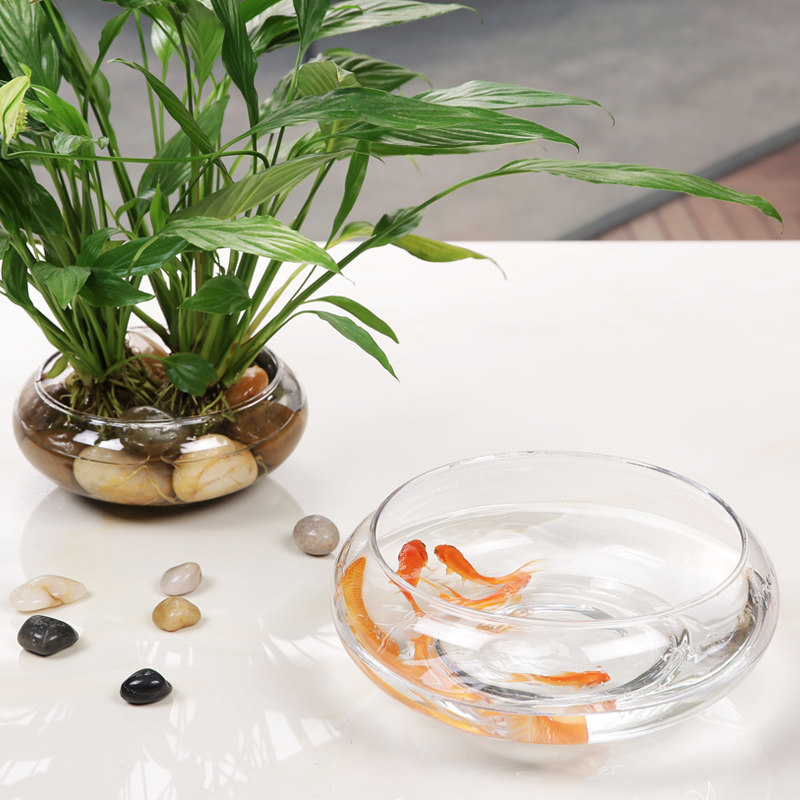 鱼缸透明金鱼缸水培花瓶迷你小型生态造景乌龟鱼缸