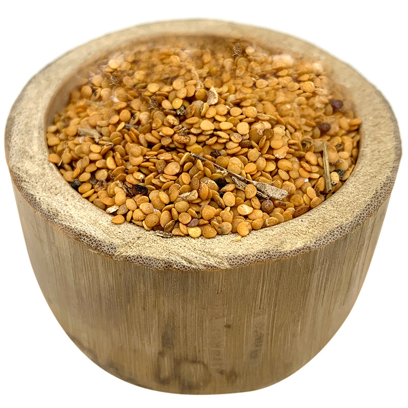 灯笼种子草种50粒黄姑娘姑娘新鲜草鬼苦职中草药家庭园艺种子