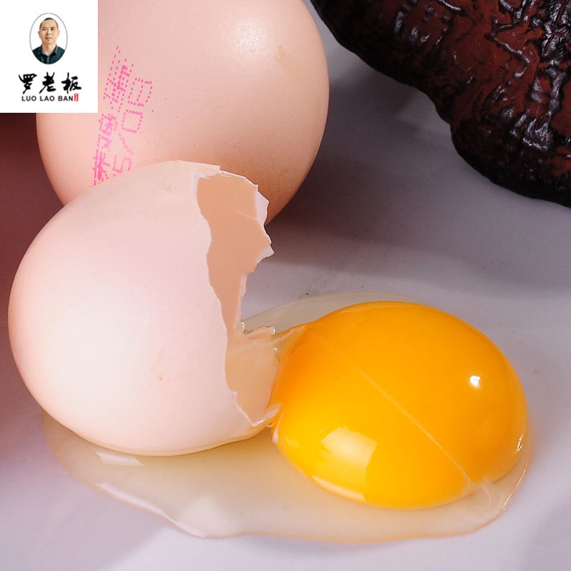 寻乌县正宗老罗老板灵芝鸡蛋30枚包邮谷物新鲜营养农家土蛋罗召华