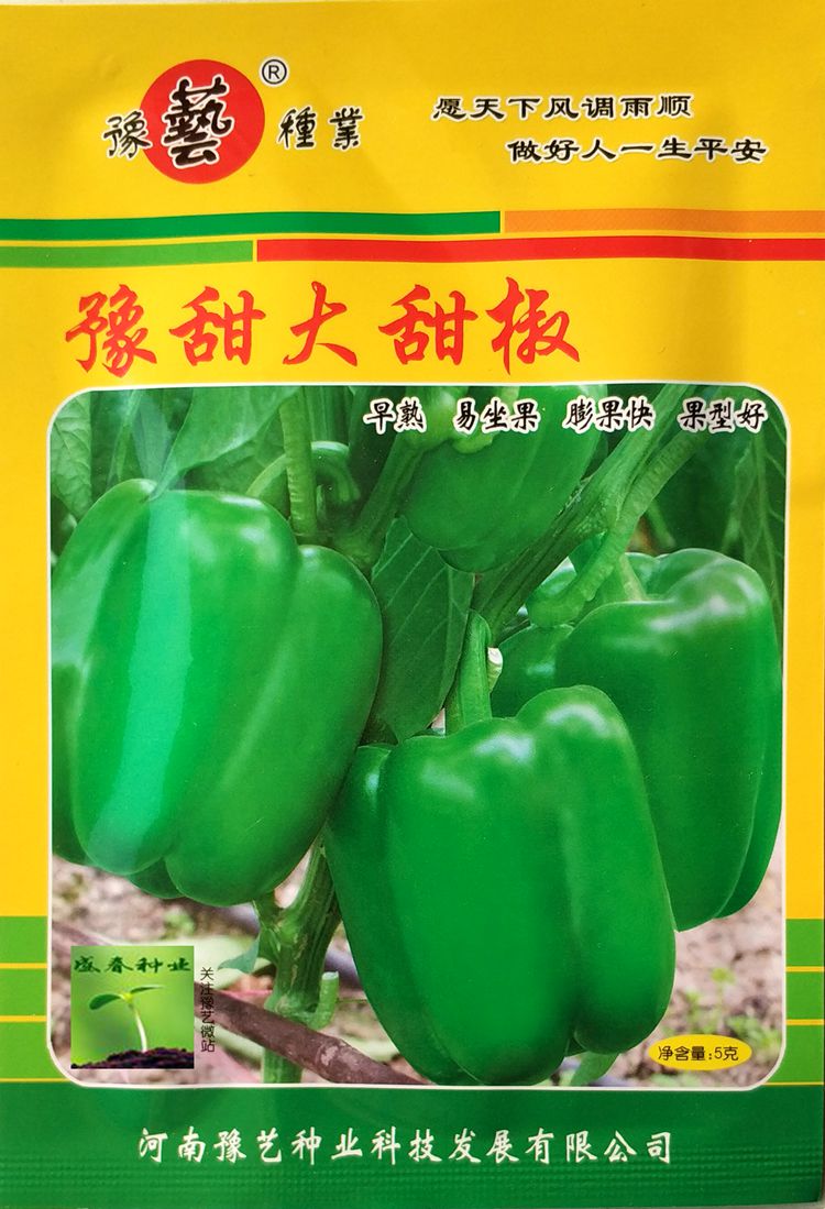 方椒辣椒种子种业甜大甜椒厚皮蔬菜种子