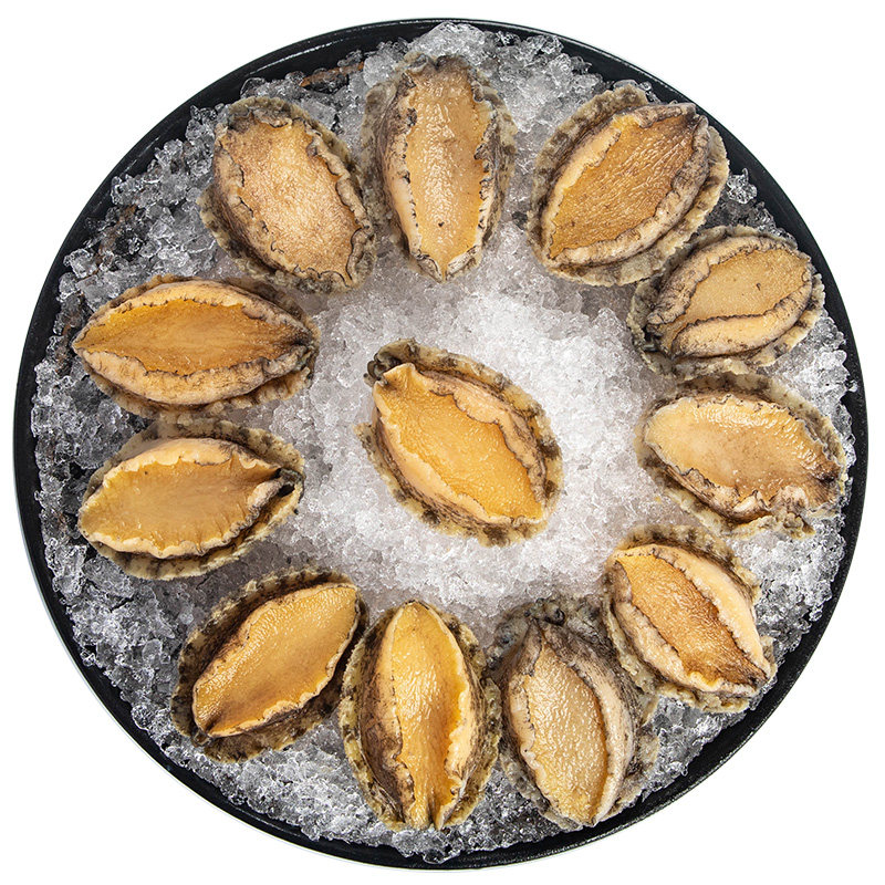 鲍鱼鲜活非超大个鲜鲍海鲜海水产福建贝类15头鲍鱼