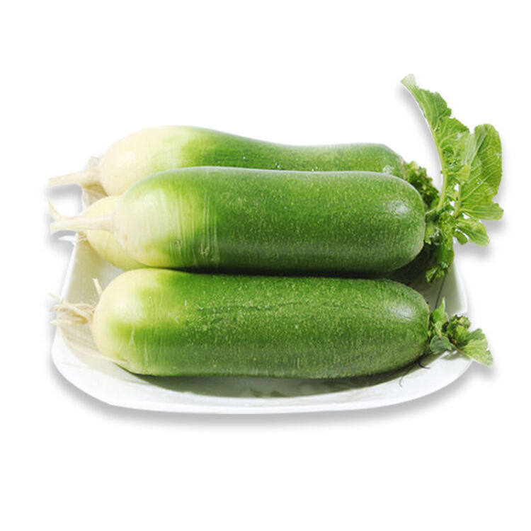 萝卜水果潍坊一斤500g新鲜蔬菜有机肥生态种植萝卜