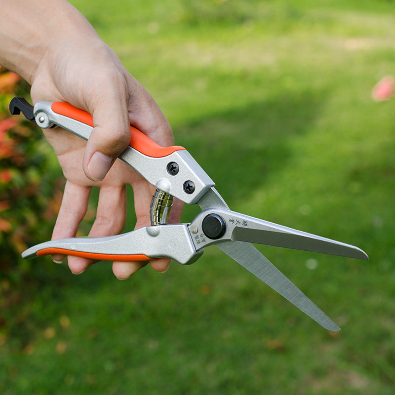 园林绿化园艺直嘴修枝剪刀采摘果剪稀果整枝剪疏剪刀