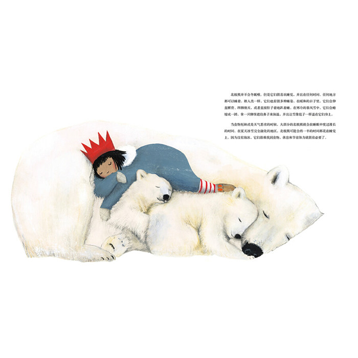 海豚绘本花园北极熊(精)纽约时报十佳童书0-3岁低幼宝宝动物的认知