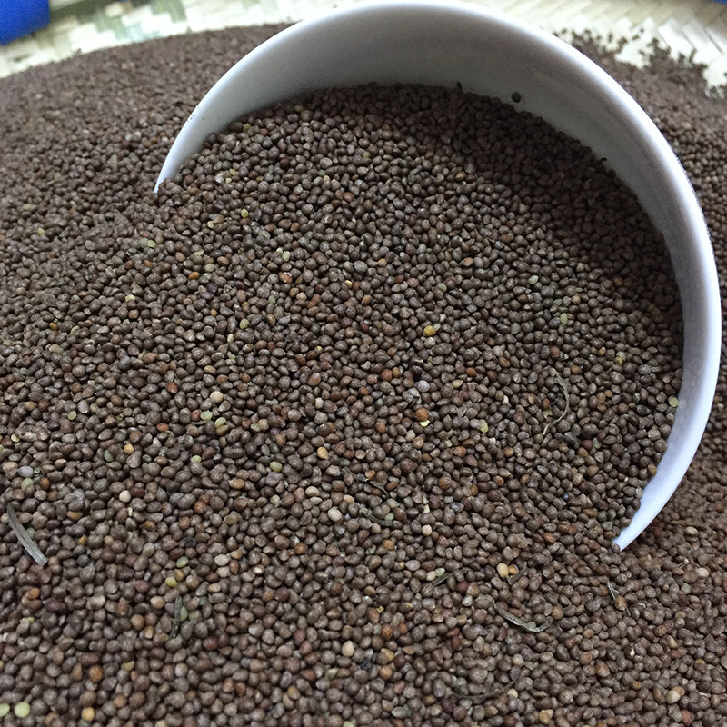 酥麻贵州特产农家种植2020新引籽做糖包汤圆粑粑其它粮食