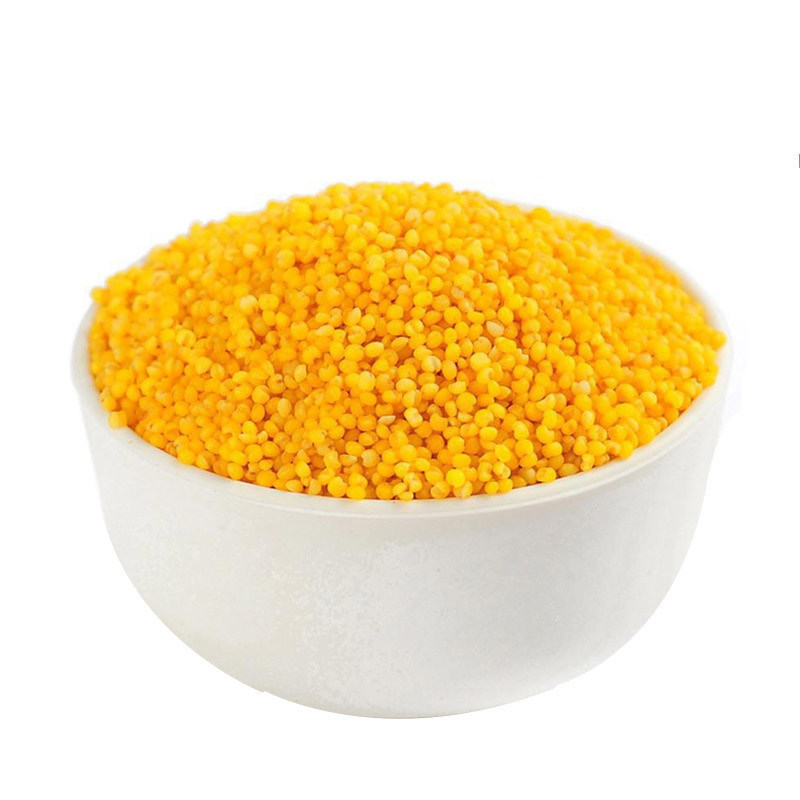 黄小米5斤山西农家杂粮小米粗粮小米养胃粥食用小米月子米小黄米