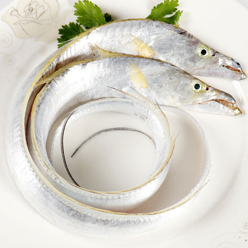 福建海钓黄金带鱼闽南活冻黄嘴刀鱼海鲜鲜活其它