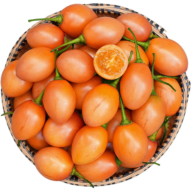 蕃茄进山山洋酸茄新鲜大树鸡蛋洋番番茄云南番茄