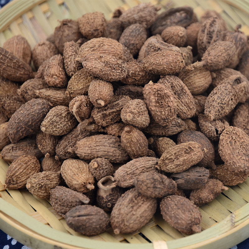 阳春砂仁50g大砂仁壳砂仁春砂仁毛砂仁中药材香料调料大全