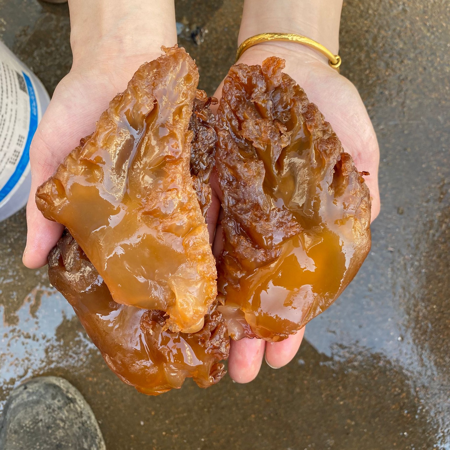 海蜇新鲜海哲丝凉拌舟山桶装5斤盐渍海鲜礼盒海蜇