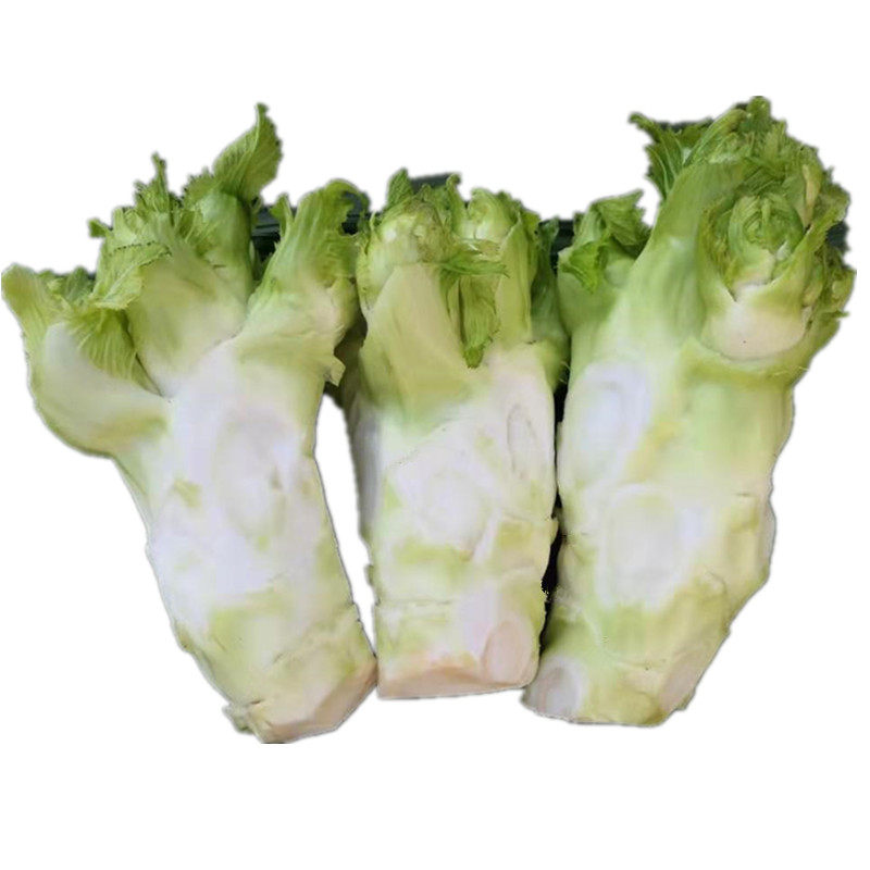 四川特产儿菜新鲜蔬菜娃娃菜抱儿菜坨坨菜只发主干餐饮供应5斤