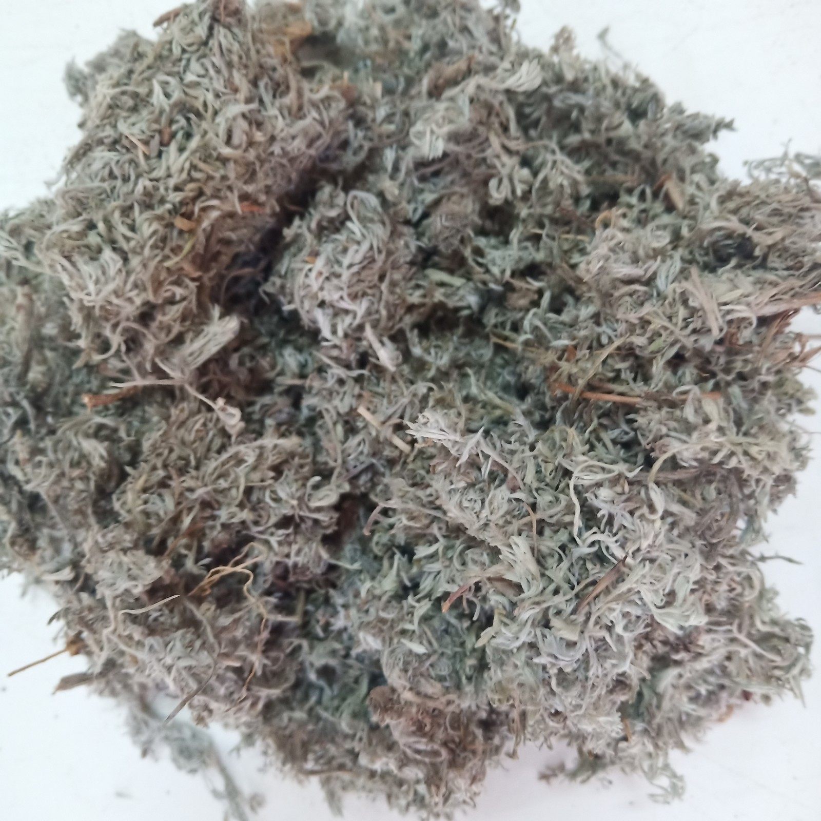 茵陈2020年干品野生正品白蒿新鲜中药材绵棉500克其他药食同源食品