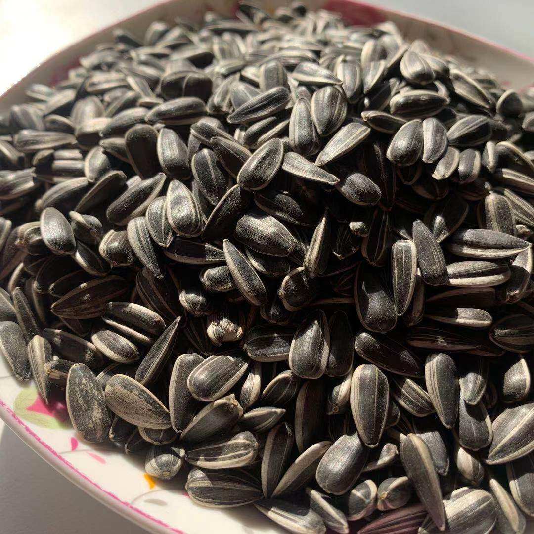 瓜子内蒙古生油葵籽黑珍珠小油2021新货散装小黑瓜子