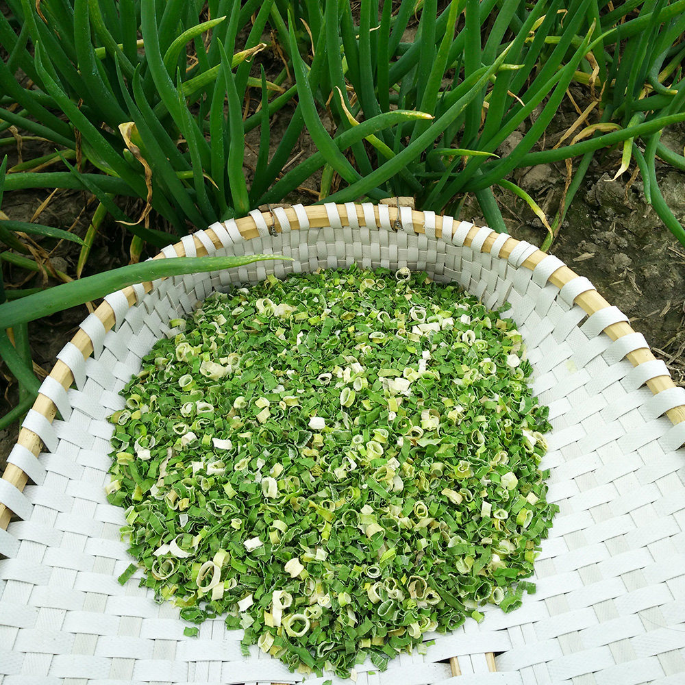 香葱脱水500g圈葱段干葱兴化餐饮饭店厨房调味脱水蔬菜