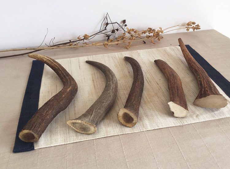 鹿角东北整枝梅花鹿角马原料纯正药用装饰500克鹿茸枝