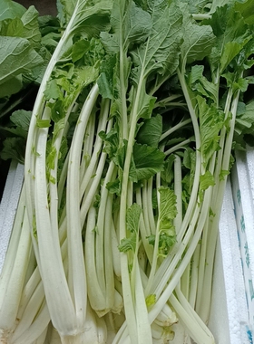 广水高杆白菜芯(又名剑杆白)