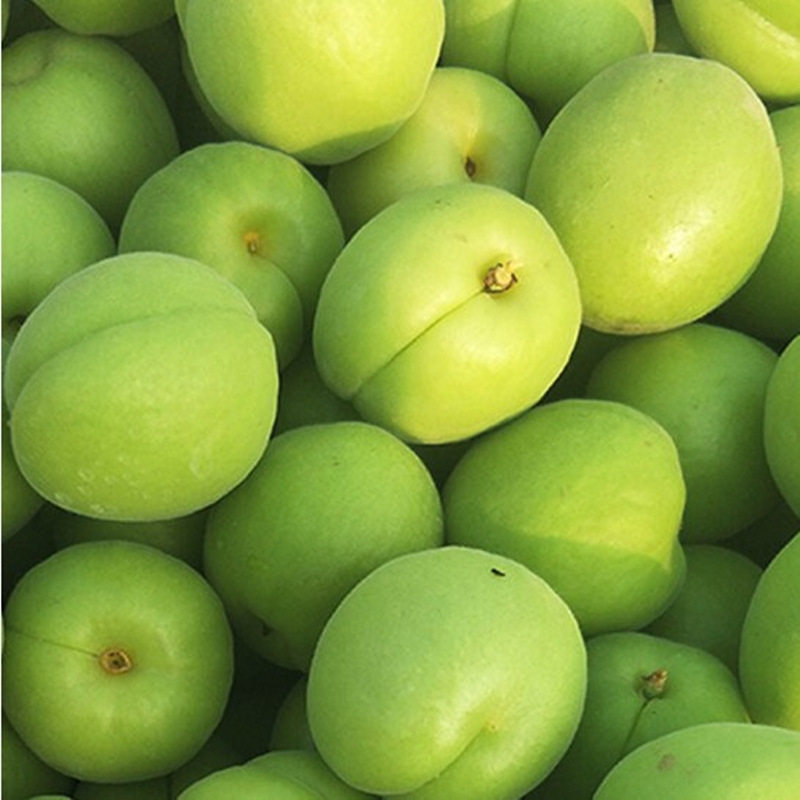 现摘时令应季多汁梅子青梅农家脆酸陕西孕妇杏