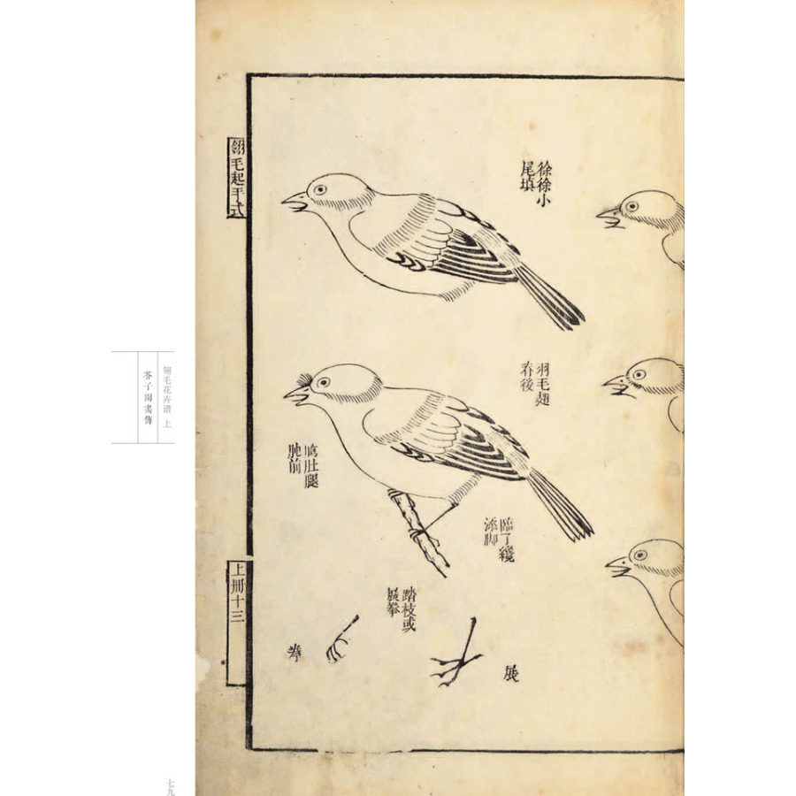 康熙原版 芥子园画传花鸟卷翎毛花卉谱上下2册彩色版芥子园画谱全集