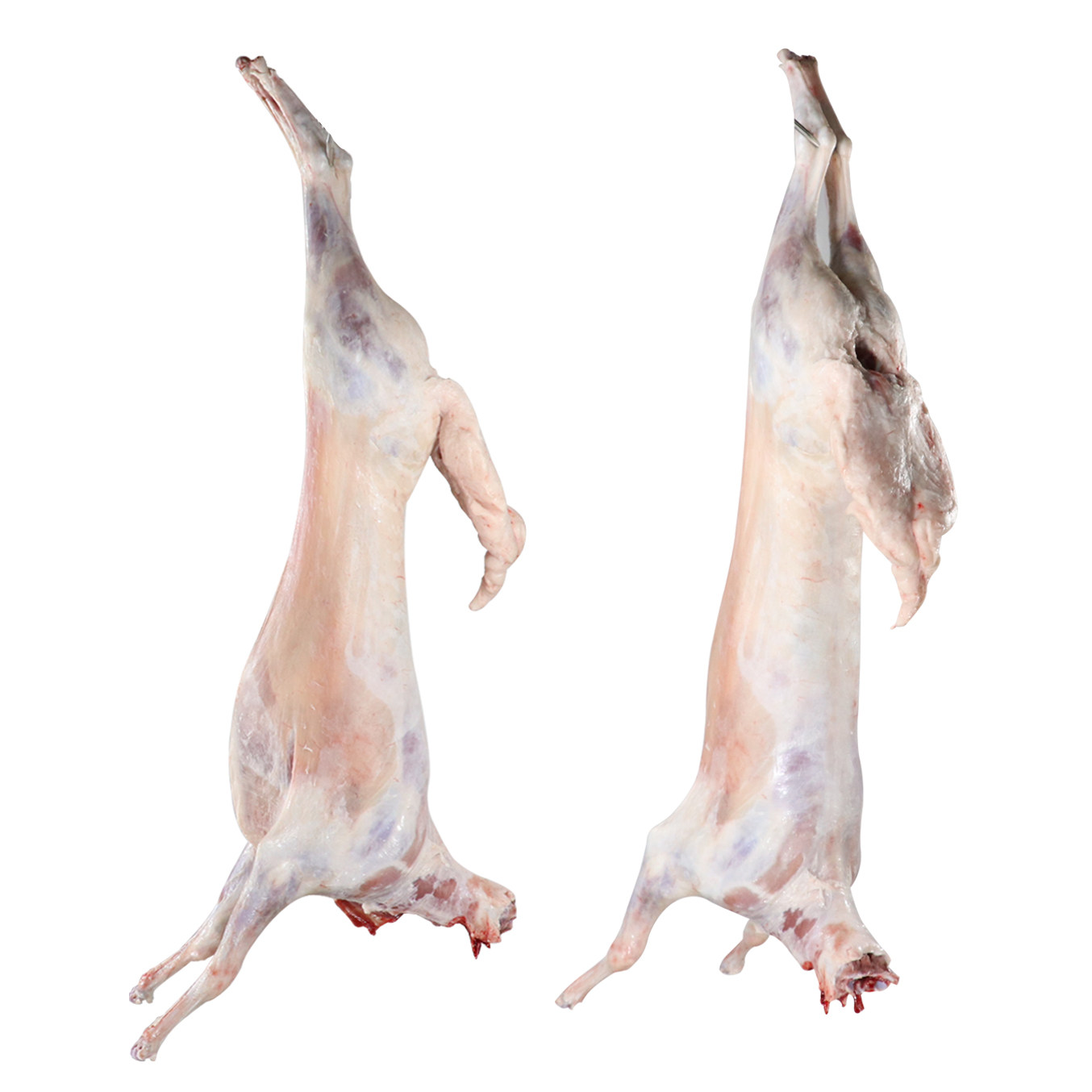 宁夏清真盐池滩羊农家烤全羊肉整只羊羔肉新鲜18斤带肝肺顺丰包邮