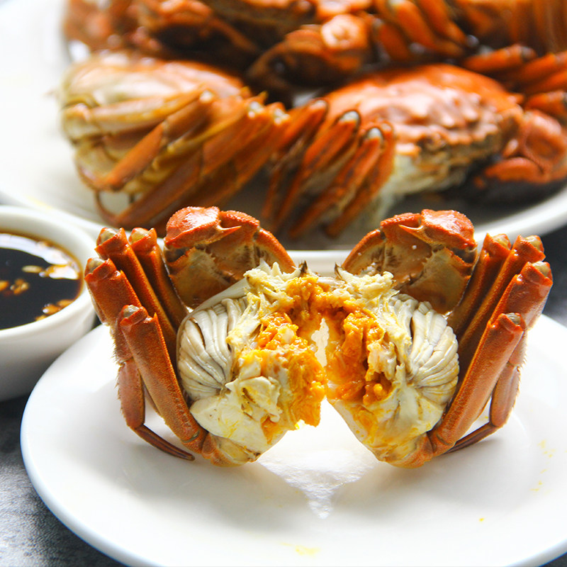 兴化红膏大闸蟹现货鲜活水产蟹塘捕捞4两母3两各大闸蟹