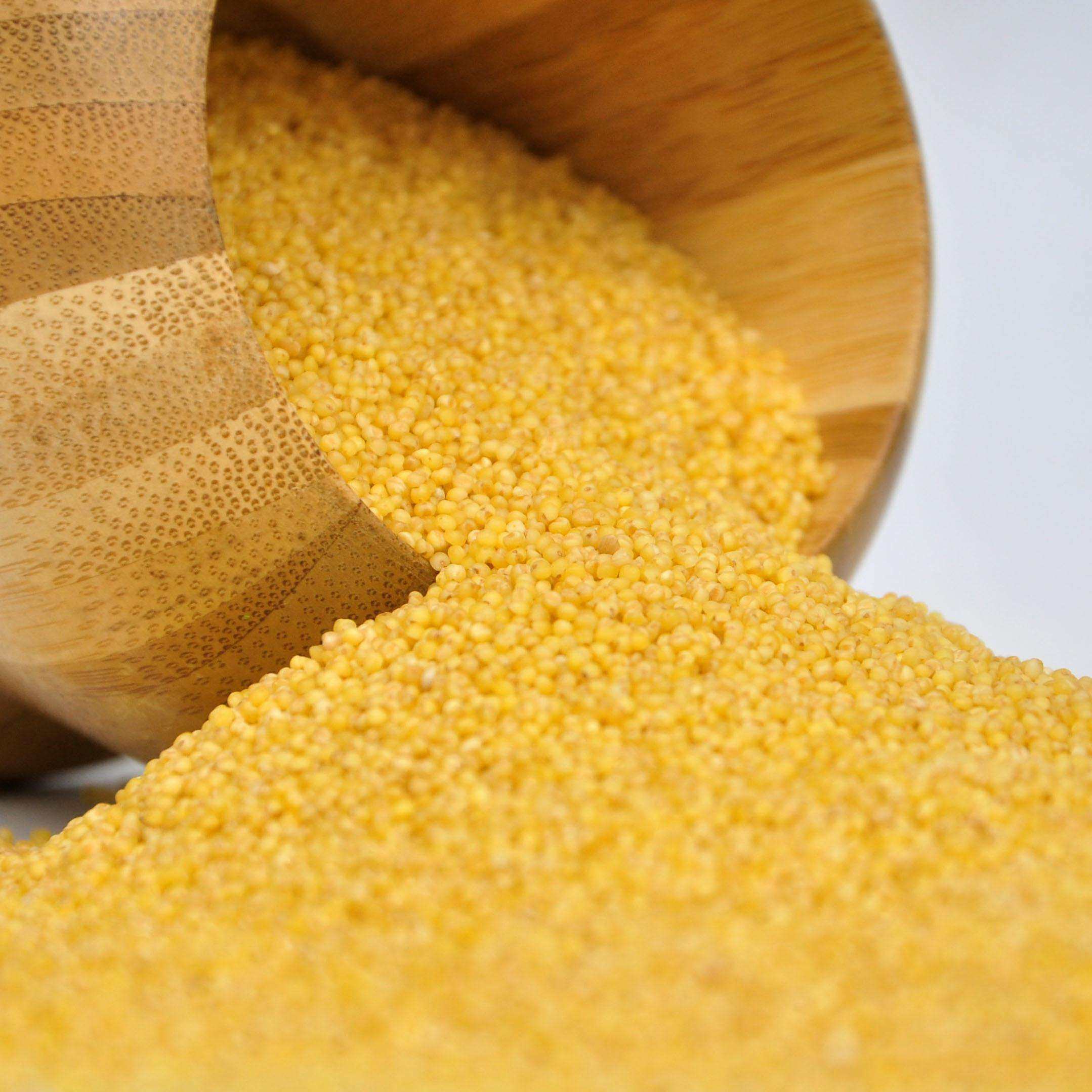 河南特产伊川黄小米农家自产杂粮小黄米月子米2018新米5斤包邮