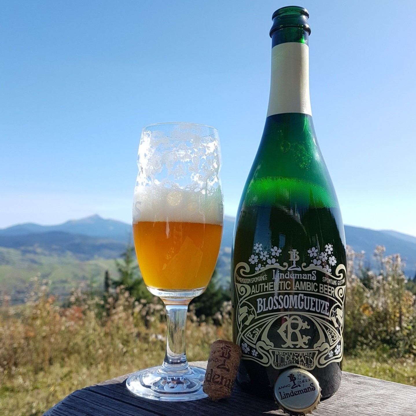 同学林德曼花团锦簇接骨木花贵兹啤酒750ml单瓶啤酒