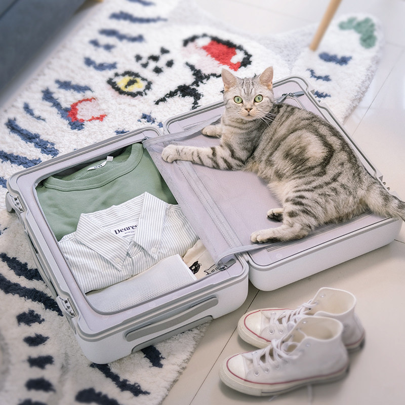 90分曼哈顿轻盈都市旅行箱男女20寸24寸行李箱双面网红登机拉杆箱