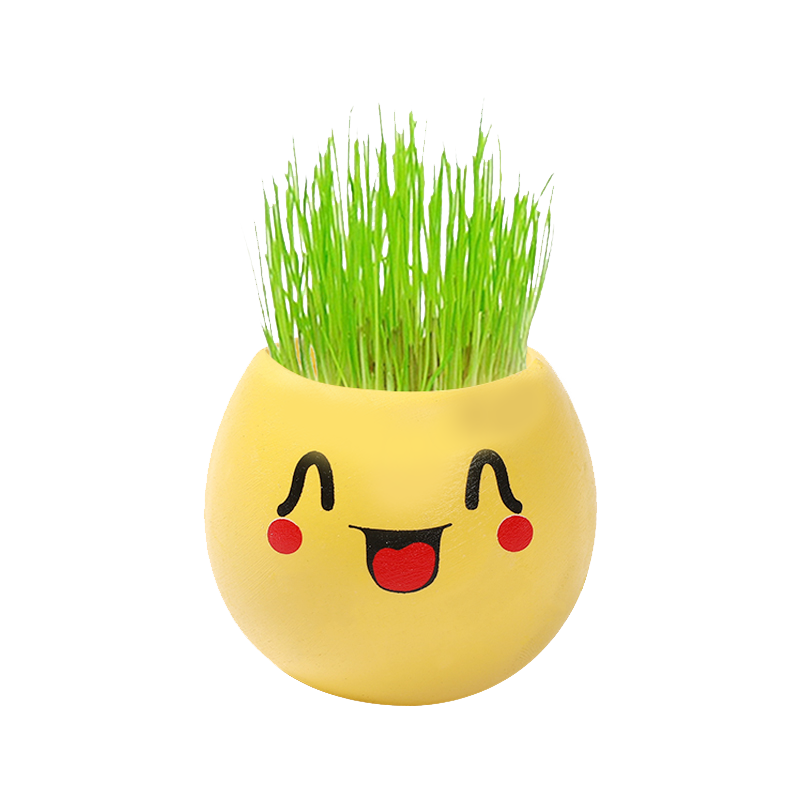 草头娃娃迷你笑脸表情小草盆栽创意办公室桌面创意迷你植物